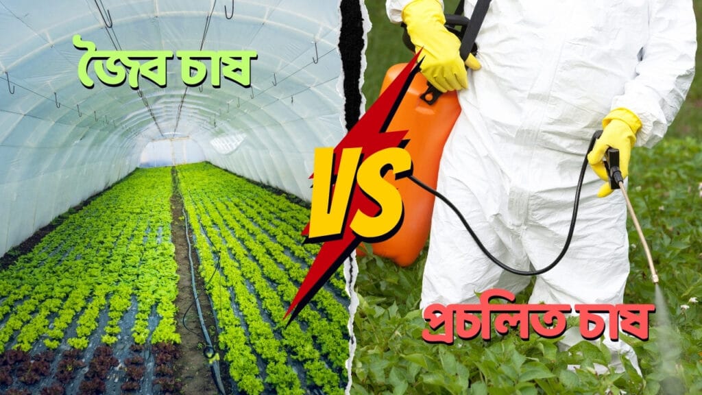 প্রচলিত চাষ vs জৈব চাষ