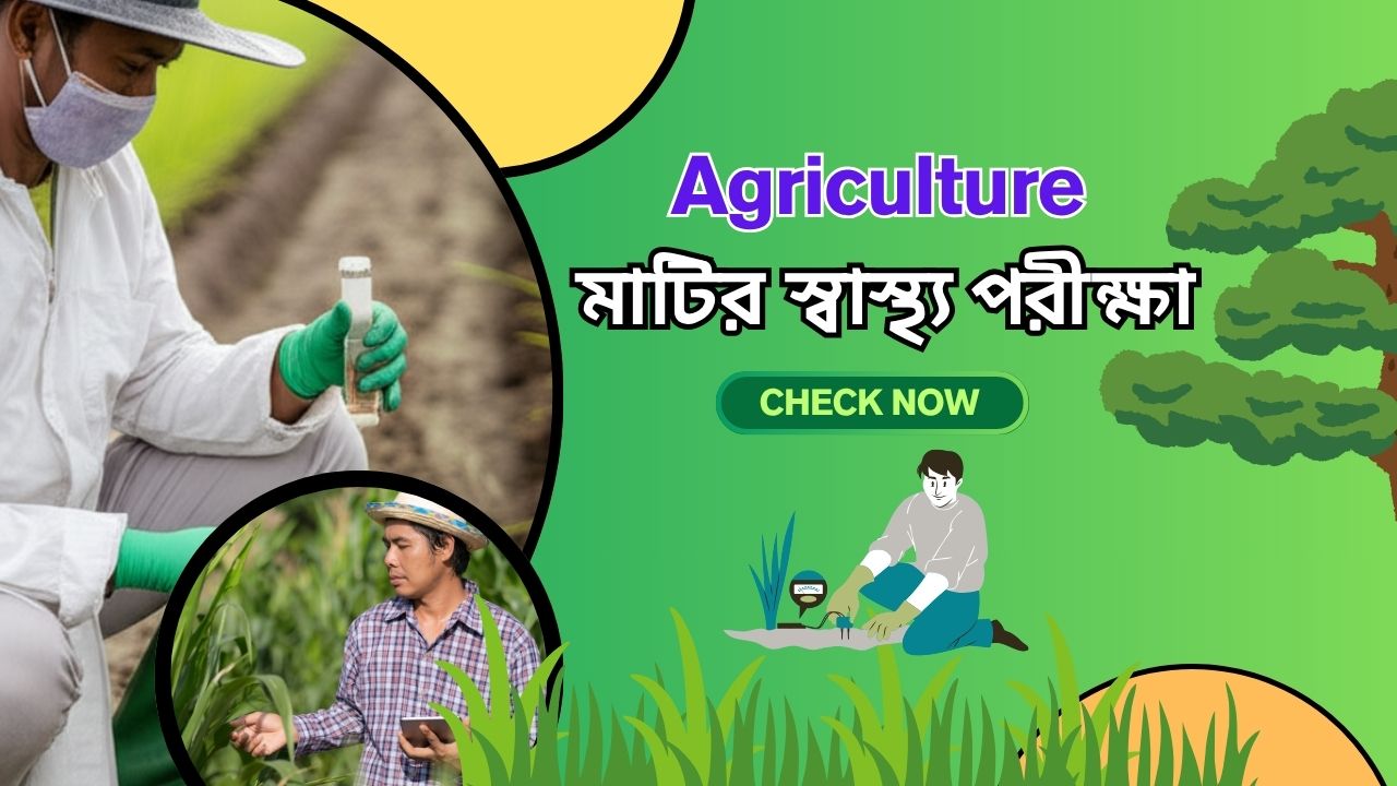 মাটির স্বাস্থ্য পরীক্ষা