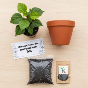 Hibiscus Flower Kit (জবা ফুলের বাগান কিট)