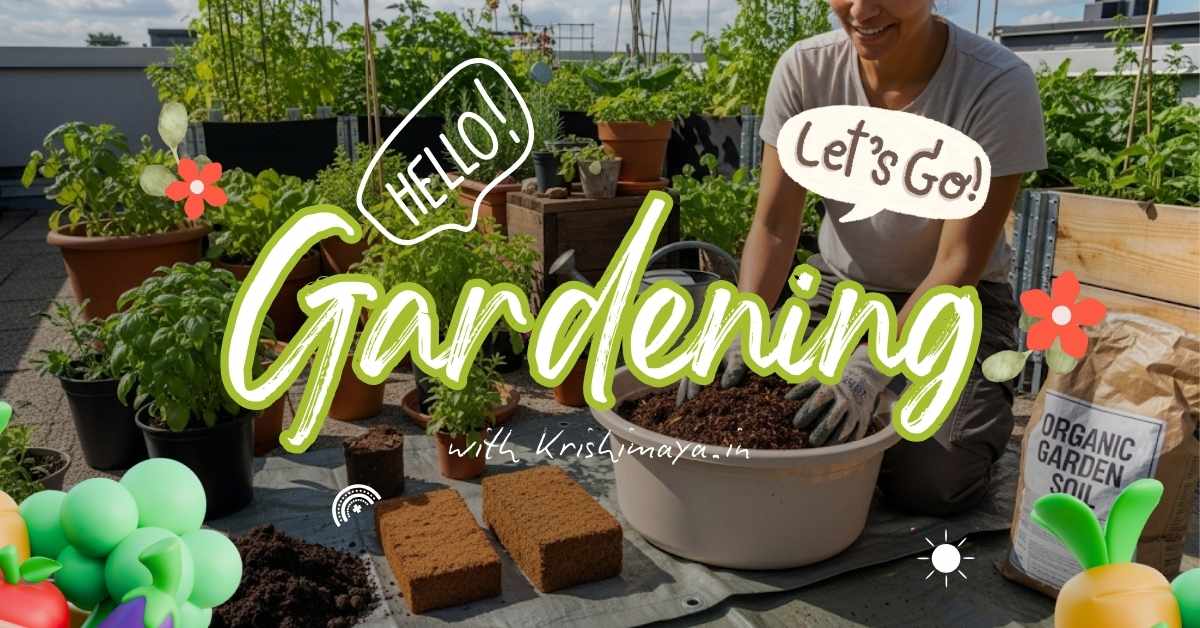 ছাদবাগানে জৈব মাটি প্রস্তুত