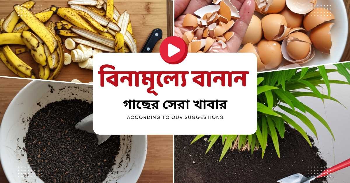 বিনামূল্যে বানান গাছের সেরা খাবার