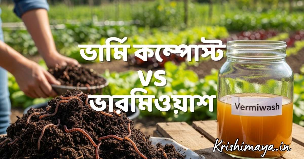ভার্মি কম্পোস্ট vs ভারমিওয়াশ